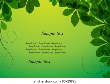 Abstract summer background with green leaves.  EPS10 vector format. Raster version available in my portfolio