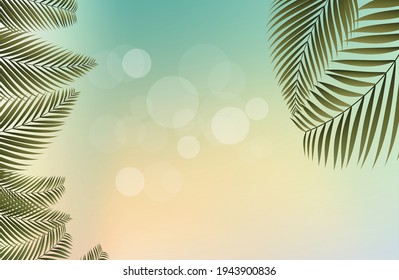 abstract summer background with palm leaves. summer time. vector illustration. bottom view