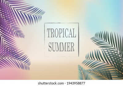 abstract summer background with palm leaves. summer time. vector illustration. bottom view