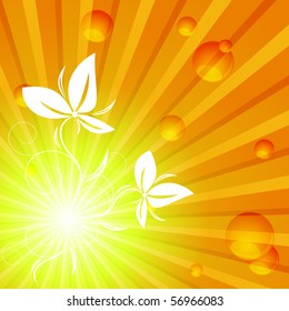 abstract summer background with  plant. Eps10