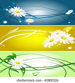abstract summer banners with chamomiles and drops