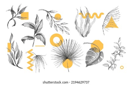 Abstract summer elements, modern shapes. Minimal spring tropical leaf, exotic palm foliage, poster elements, wall art, geometric objects, halftone dot memphis leaves. Vector graphic texture