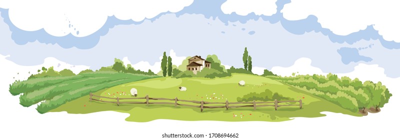 Abstract summer landscape -- field with sheeps and vineyard/ Vector illustration, fields and meadows
