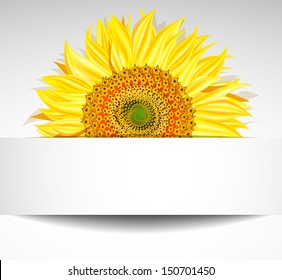Abstract sunflower background 