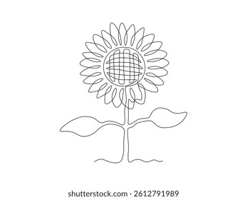 Abstract sunflower flower, continuous single one line art hand drawing sketch logo