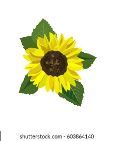 Abstract sunflower isolated on white background
