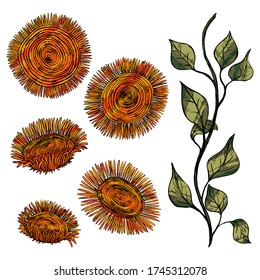 Abstract sunflowers and stem with leaves. Set of hand drawn vector illustration. Decorative flowers in vintage, boho style isolated on white. Colorful elements for design, prints, card, decor, poster