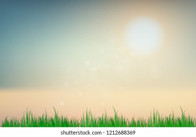 Abstract sunset sky blurred gradient background. Nature blurred bokeh background Cloud with grass.
