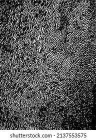 Abstract swarmy vector texture isolated on a white background. 