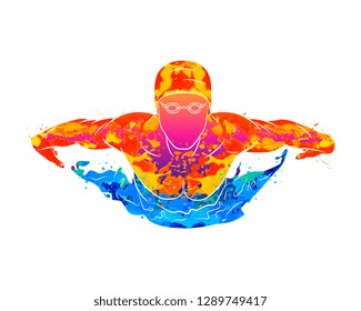 Abstract of a swimmer butterfly from splash of watercolors. Vector illustration of paints