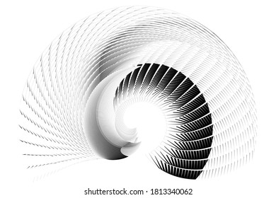 Abstract swirl dynamic background, exotic nature line art, black and white geometric pattern, vector modern design texture.