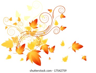 Abstract swirls of nature. Vector illustration.