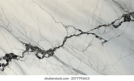 Abstract swirly texture. Fantasy fractal background. 3D rendering. Shellfish, stone, pearl. Grey and white