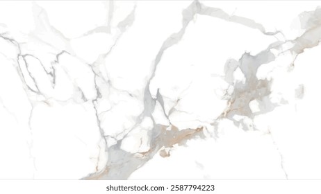 Abstract swirly texture. Fantasy fractal background. 3D rendering. Shellfish, stone, pearl. Beige, grey and brown, white