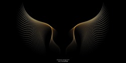 Abstract Symmetry Bird Wings Dots Line Pattern Luxury Gold Light Isolated On Black Background. Vector Illustration.