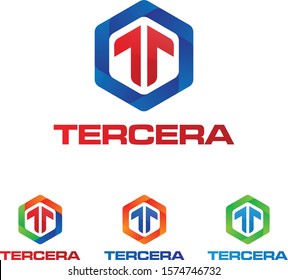 Abstract T and Hexagon Logo Template