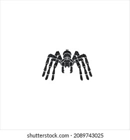 abstract tarantula logo vector template