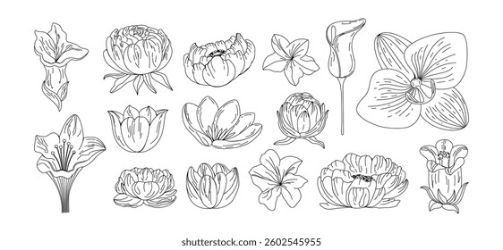 Abstract tattoo plants and botany. Trendy minimalism decoration. Set of flower in line art. Brush. Charcoal and crayon. Drawing. Scribble. Ink. Splash. Grunge texture. Pencil shapes. Editable stroke