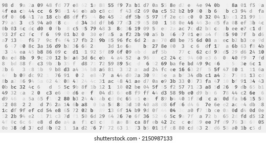 Abstract Technology Machine Code Background. Random Binary Hexadecimal Code. Matrix with Digits. Vector Illustration. Hacking, Cryptography, Malware, Reverse Engineering, Data Analysis Backdrop.