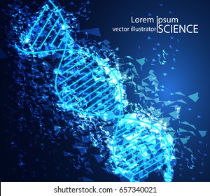 abstract technology science concept DNA digital link network on hi tech background