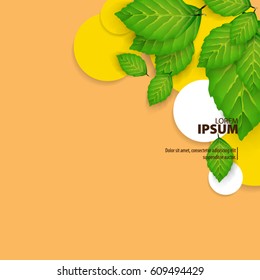 Abstract Template with Clean Minimal Style. Modern Graphic/Design Elements.Green Leaves and Circles in Plain Background