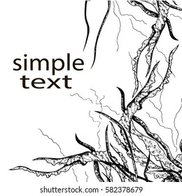 Abstract template with jellyfish's tentacles. Design element for cards, prints, invitations, quotes, posters, menu and more. Vector
