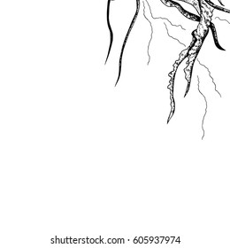 Abstract template with jellyfish's tentacles. Design element for cards, prints, invitations, quotes, posters, menu and more. Vector