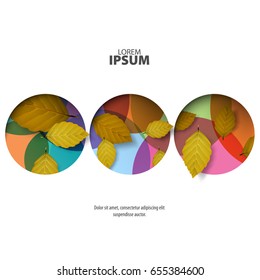 Abstract Template with Minimal Style. Modern Graphic, Design Elements. Leaves and Colorful Circles in White Background