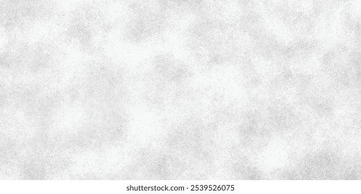 Abstract texture dust particle and dust grain on white background. Effect old wall cemet texture background. Grunge texture white and black.
