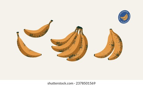 Abstract textured banana collection. Retro banana illustration.