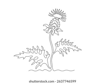Abstract thorny flower thistle, milk thistle, silybum. continuous single one line art drawing sketch, logo