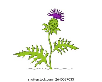 Abstract thorny flower thistle, milk thistle, silybum. continuous single one line art drawing sketch, logo
