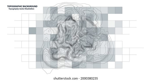 Resumen del fondo topográfico. Concepto de líneas topográficas de curye. Mapa de cuadrícula de rectángulo geográfico. Ilustración vectorial. 