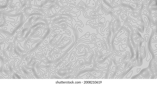 Abstract topographic background. Topographic lines contour concept. Geographic map grid. Vector illustration. 