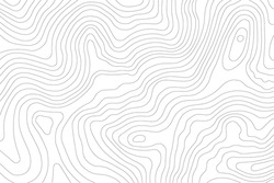 Abstract Topographic Contour Line Pattern In Black And White
