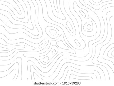 Abstract Topographic Contour  Line Pattern in Black and White