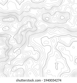 Abstract Topographic Contour Line Pattern in Black and White