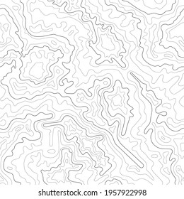 Abstract Topographic Contour Line Pattern in Black and White