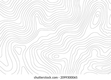 Abstract Topographic Contour Line Pattern in Black and White - Shutterstock ID 2099300065