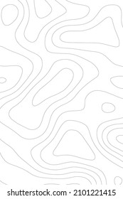 Abstract Topographic Contour Line Pattern in Black and White