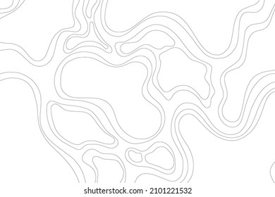 Abstract Topographic Contour Line Pattern in Black and White