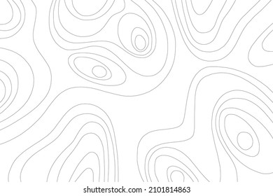 Abstract Topographic Contour Line Pattern in Black and White