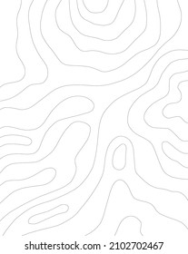 Abstract Topographic Contour Line Pattern in Black and White