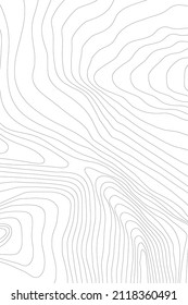 Abstract Topographic Contour Line Pattern