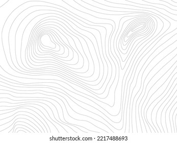 Abstract Topographic Contour Line Pattern