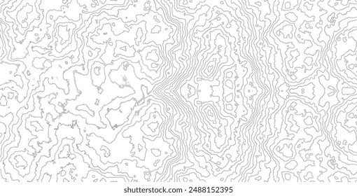 Abstract Topographic Contour Line Pattern