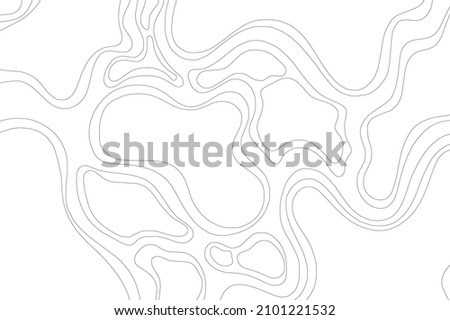 Abstract Topographic Contour Line Pattern in Black and White
