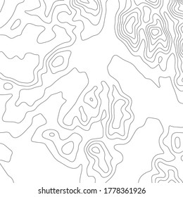 Plantilla de mapa de contorno topográfico abstracto. Composición abstracta de círculos negros y líneas sobre un fondo blanco. Vector EPS10