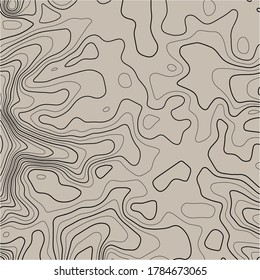 Abstract Topographic Contour Map Template. Abstract composition of black circles and lines on a white background. EPS10 Vector