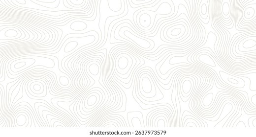 Abstract topographic contours map background, Vector contour topographic map background.geometric strip grid line topo map technology modern design white background